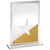 Frosted Star Glass Award SG4