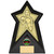 Boxing Trophy Gold