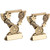 RF845 Star Running Trophy
