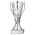Torch Trophy TYC810