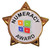 NUMERACY AWARD - STAR Lapel Badge