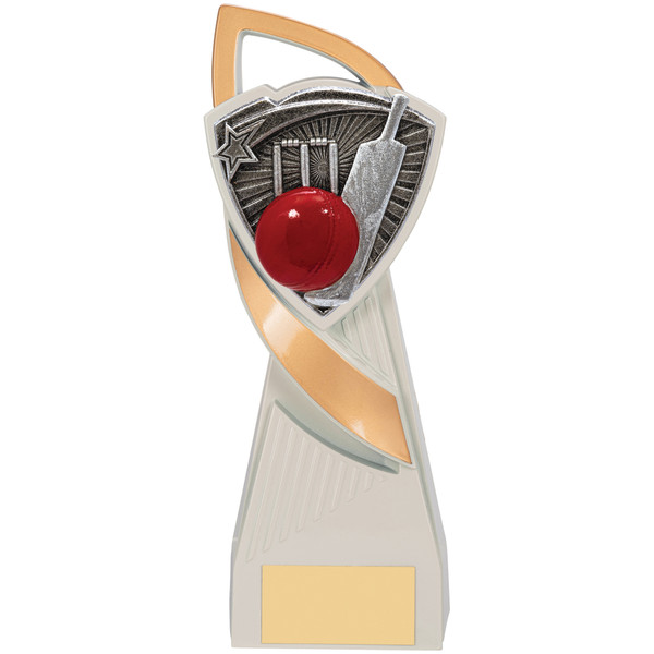 Cricket Award RC479