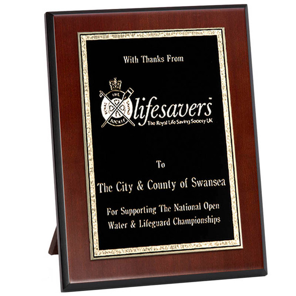 Thick Edge Gold/Black Brass on Wood Presentation Award