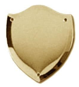 40mm High Gold (Bevelled) S6 BLANK