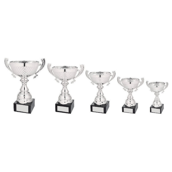 Cup Trophy 1055 SILVER