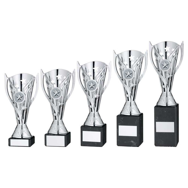 Torch Trophy TYC818 SILVER