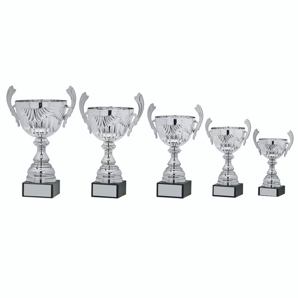 Cup Trophy 2062 SILVER