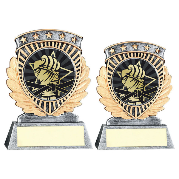 Martial Arts Trophy 36RF650