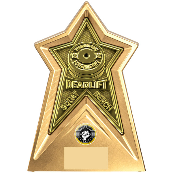 Weightlfting Trophy Bronze