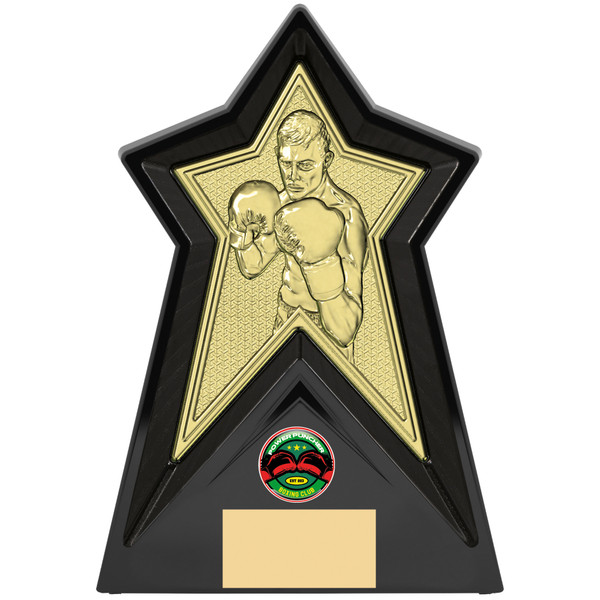 Boxing Trophy Gold