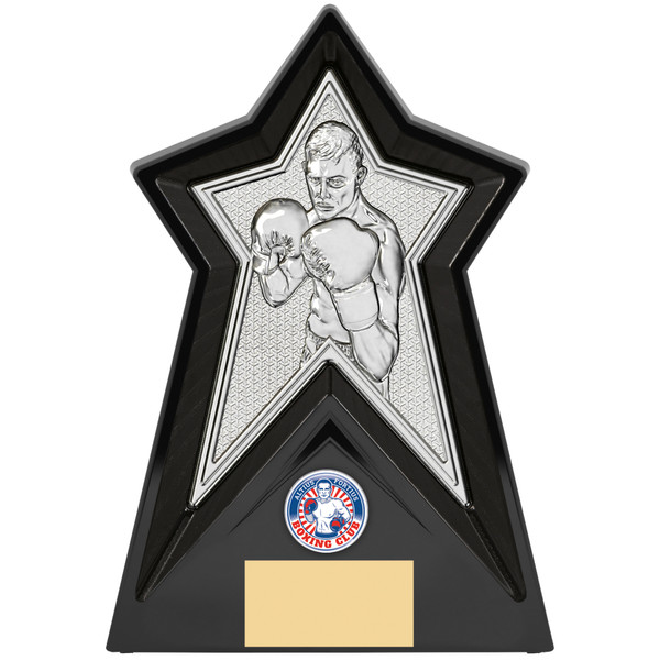 Boxing Trophy Silver