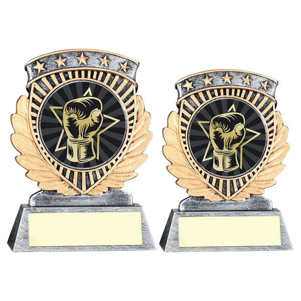 Boxing Trophy 07RF650
