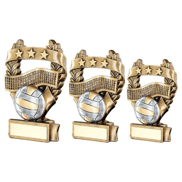 Volleyball Award RF497