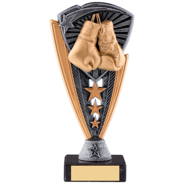 Boxing Trophy SA012