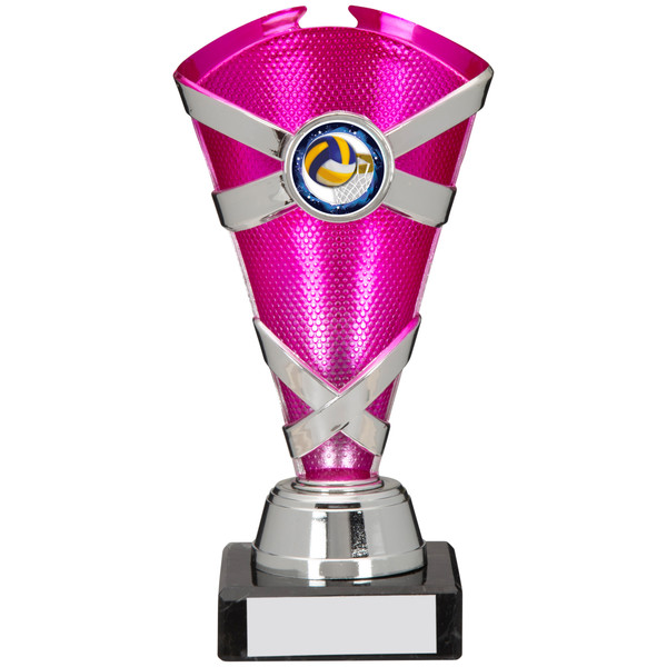 Torch Trophy A0274 Pink & Silver