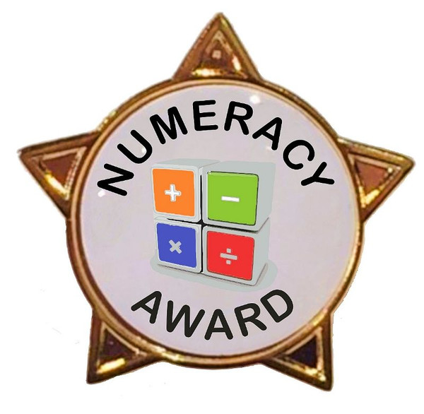 NUMERACY AWARD - STAR Lapel Badge