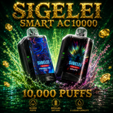 Sigelei Smart AC10000