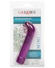 Pearlessence G Vibe Mini - Purple