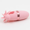 A photo of the Vibration Nation Rechargeable Egg Set - Pink
