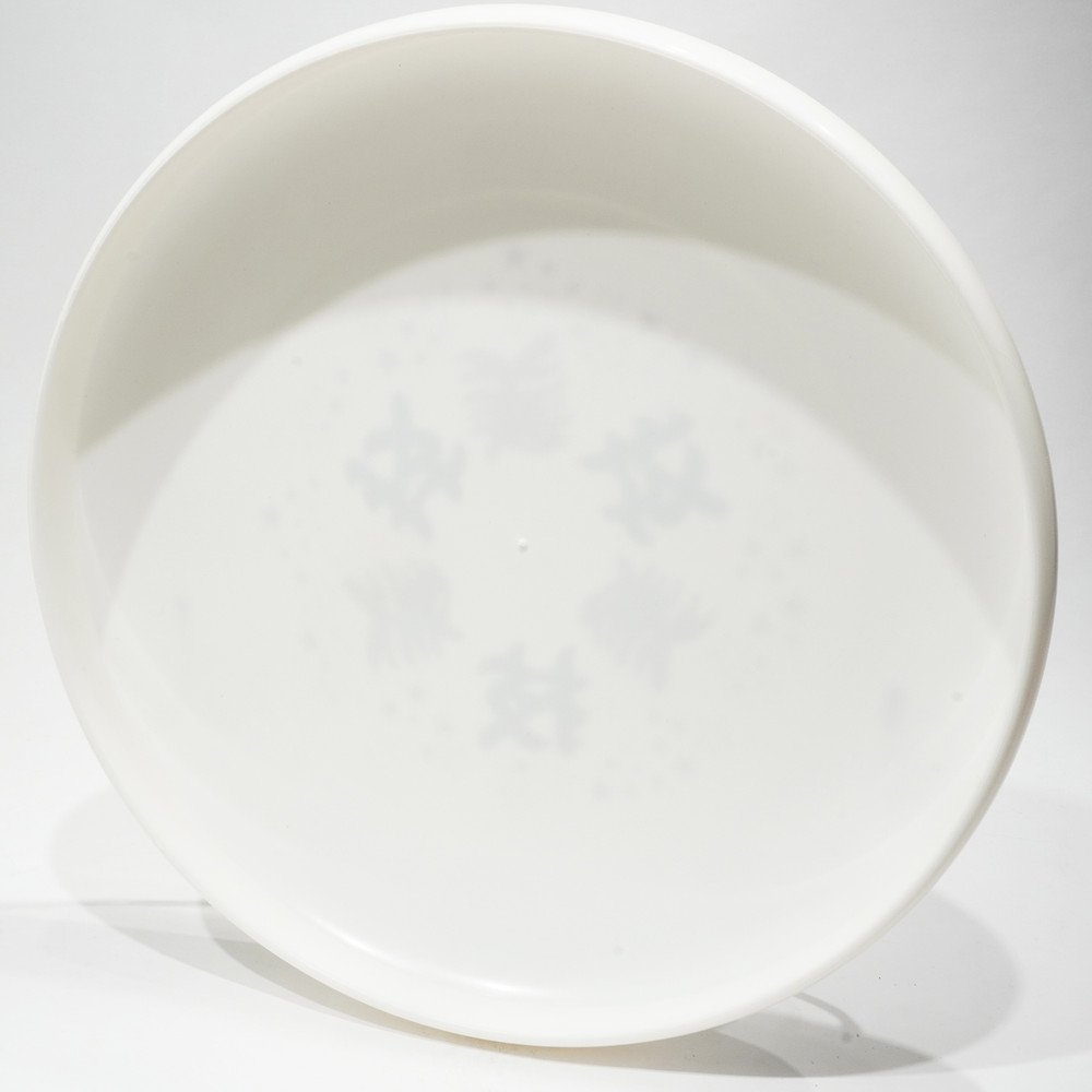 Discraft Sky-Styler Kanji Characters