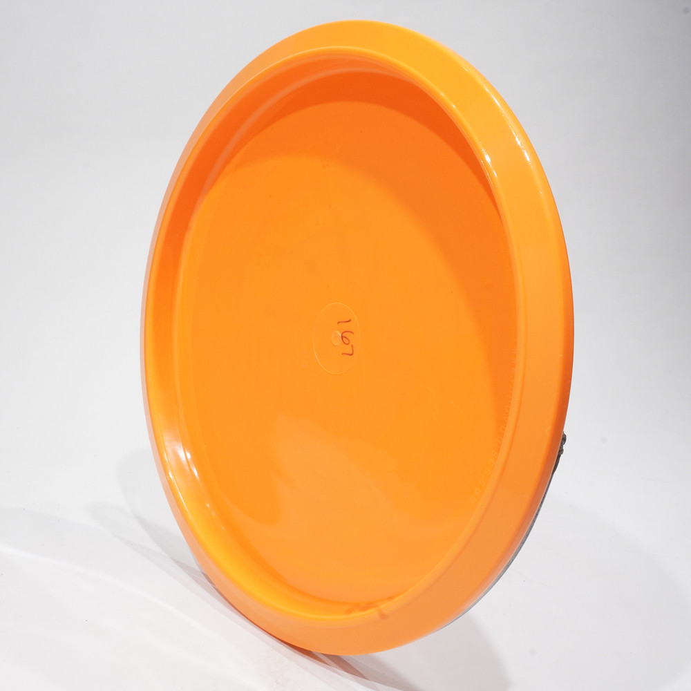 Innova Star Arachnid