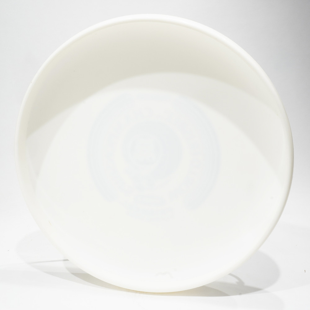 Wham-O World Class Frisbee 100 D w/ 1981 WFC