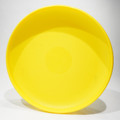 Destiny Discs Floater (Blank)