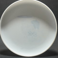 Destiny Discs FLoater - Grateful Disc Original Print