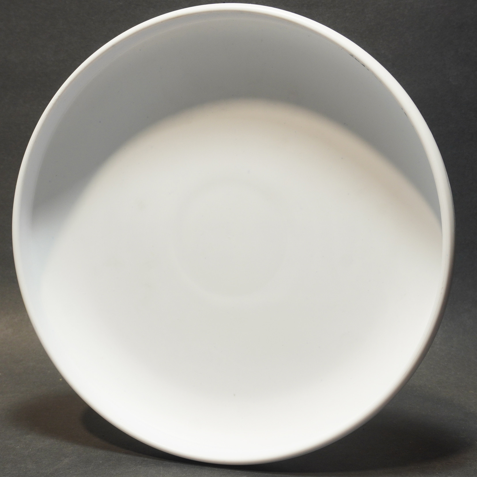 Destiny Discs Floater La Jolla California THE WRIGHT LIFE ACTION