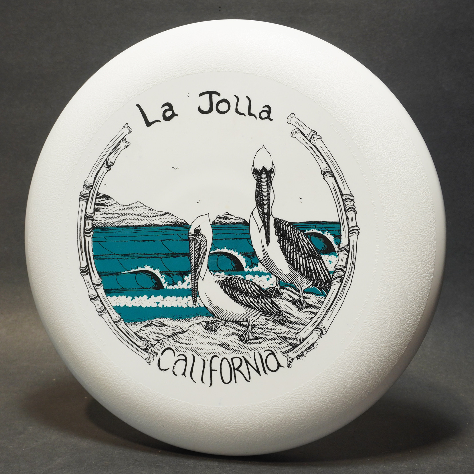 Destiny Discs Floater La Jolla California THE WRIGHT LIFE ACTION