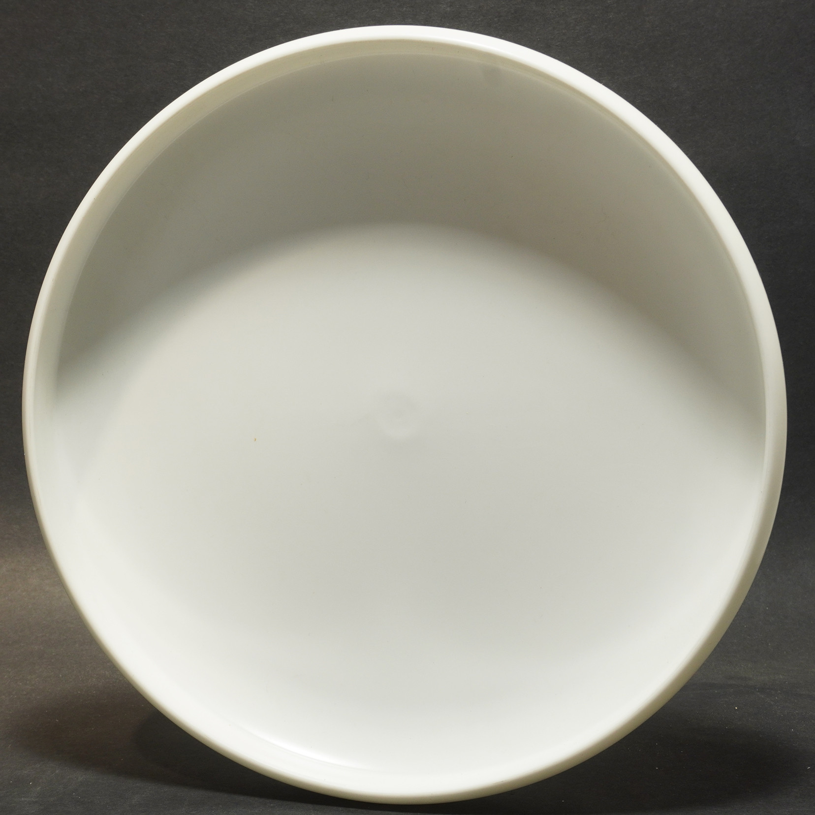 WhamO (Mexico 170g) World Flying Disc Federation THE WRIGHT LIFE