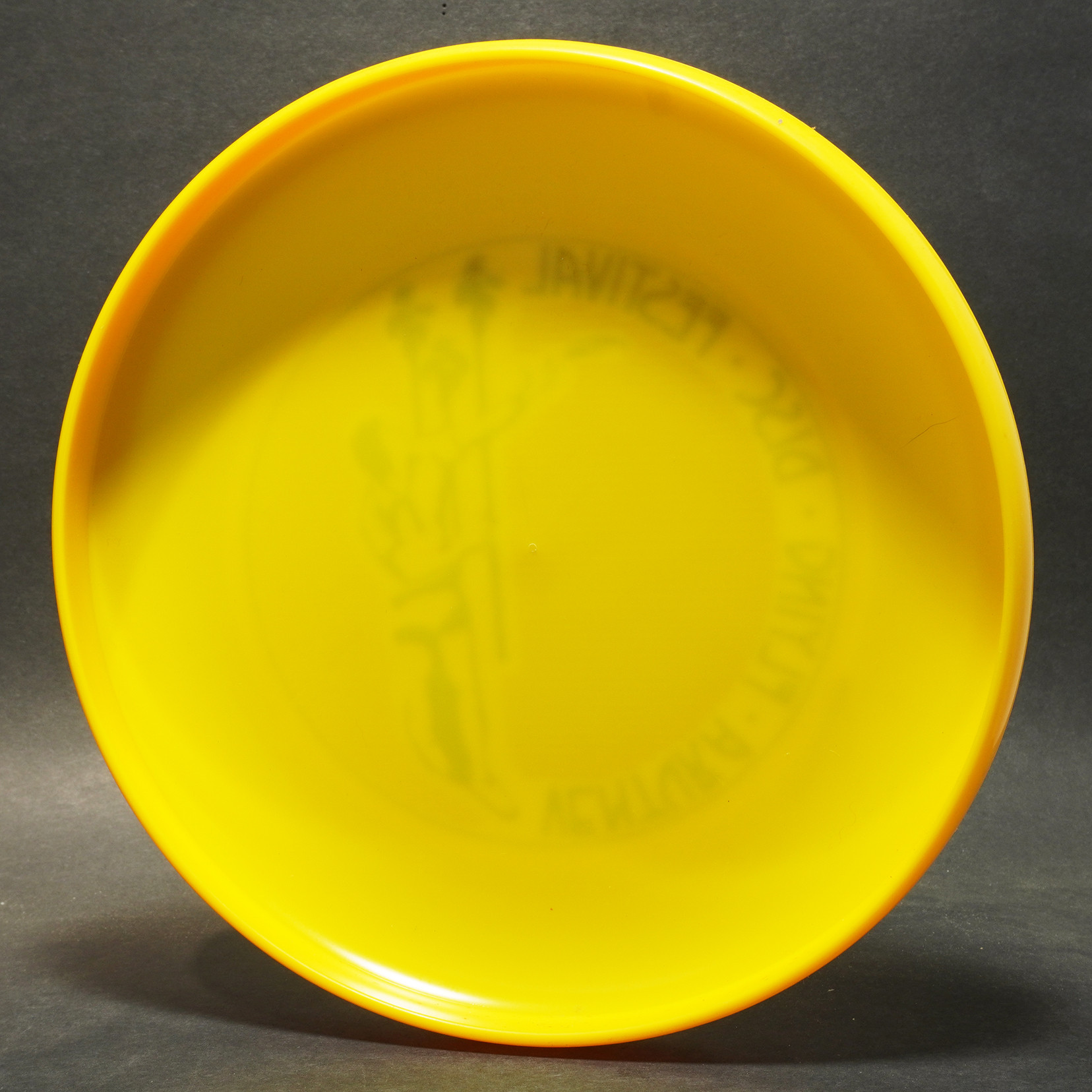 Discraft SkyStyler Ventura Flying Disc Festival THE WRIGHT LIFE