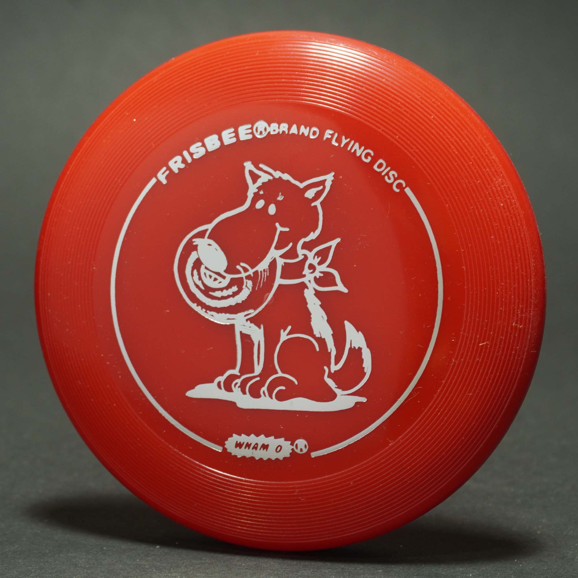mini dog frisbee