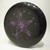 Discraft Sky-Styler w/  Grateful Disc Skeletons 4