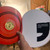 Freestyle Magazine Package w/ 100 E Wham-O Frisbee Vol. 1