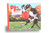 The DAVY RULE PICTURE BOOK - Disc & Frisbee Themed Story for Kids