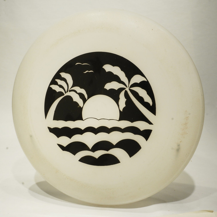 Destiny Discs Floater w/ Beach Scene Print