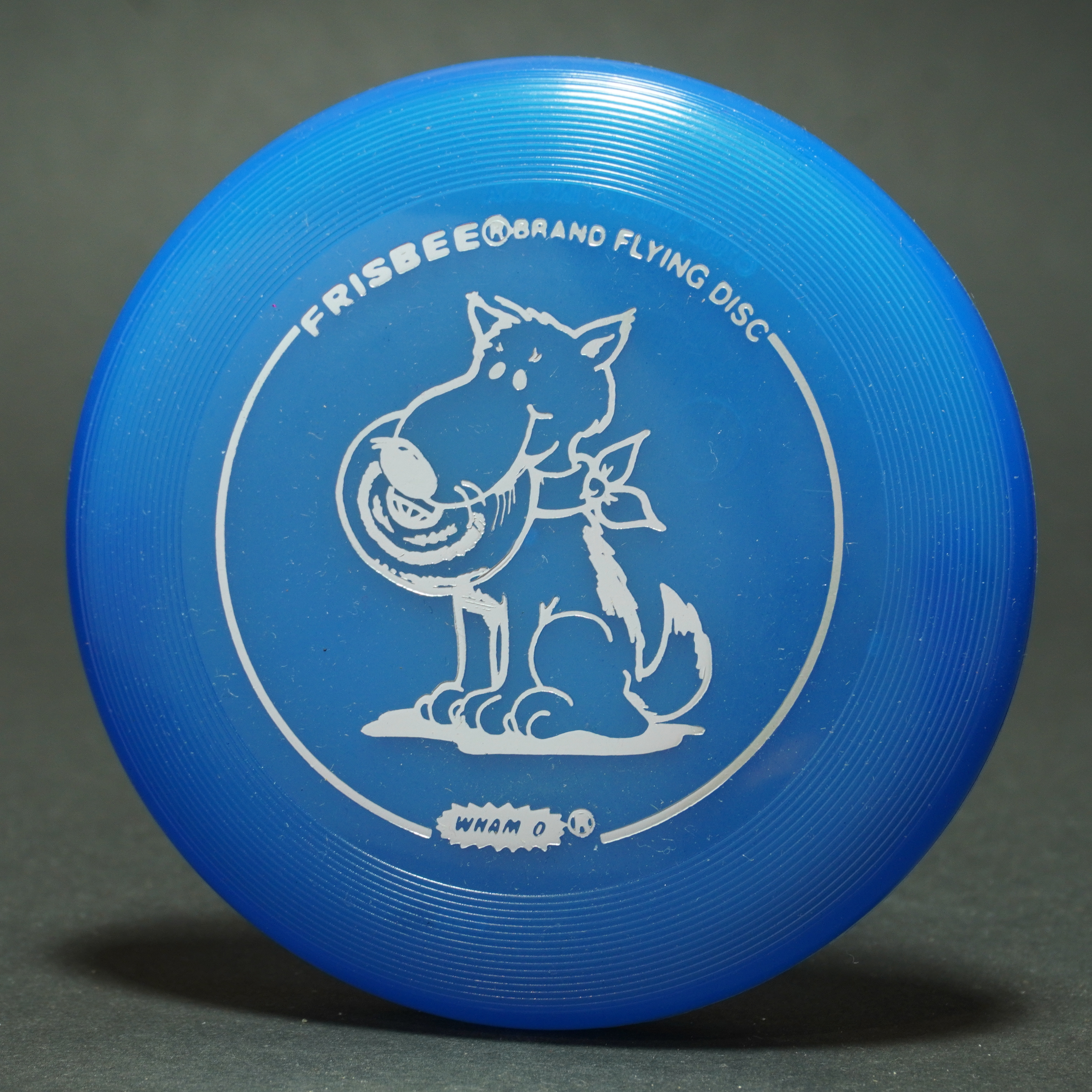 mini dog frisbee