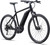 Giant Roam E+ GTS