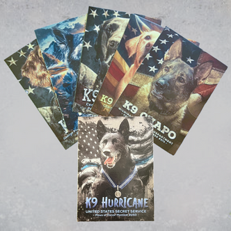 Greeting Card Mailer Bundle 2025
