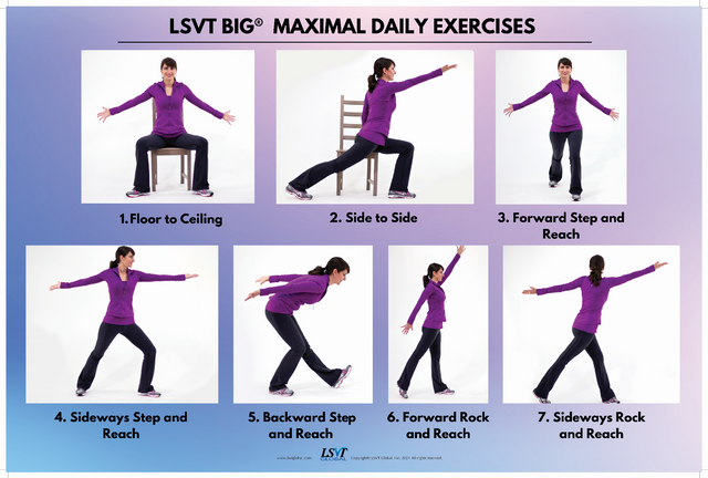 LSVT BIG Maximal Daily Exercises Poster LSVT BIG Maximal Daily Exercises Poster