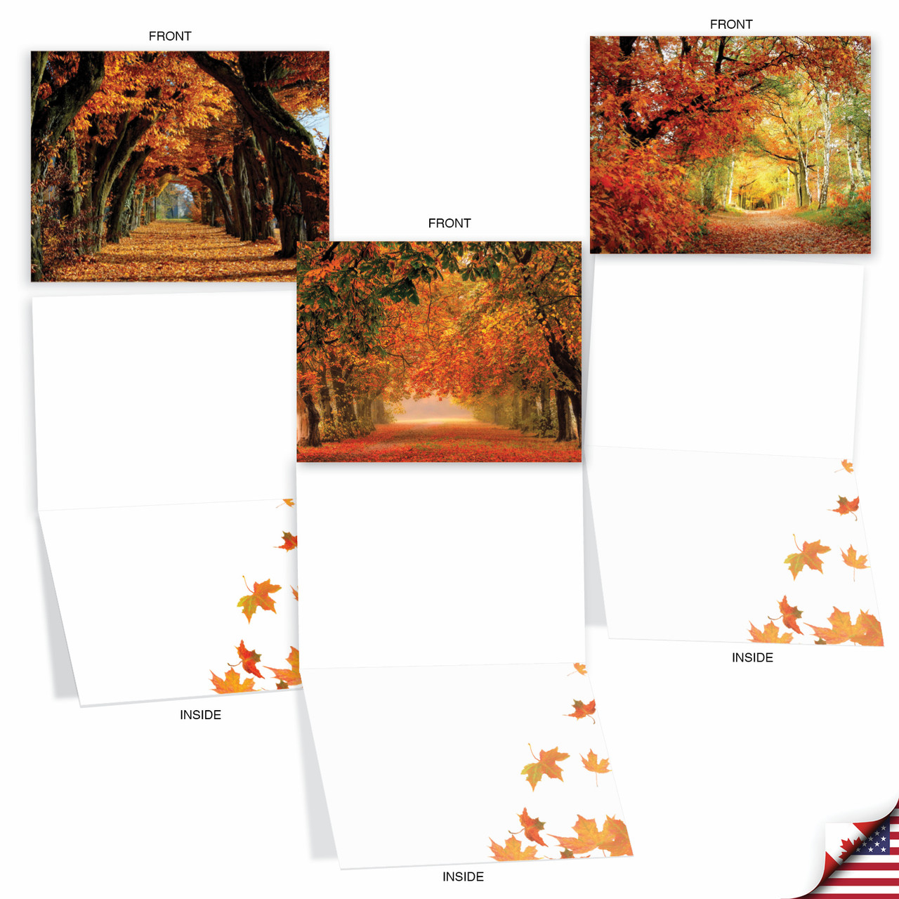 Fall Foliage, Assorted Set Of 10 Printed Blank Notecards - AM4971OCB