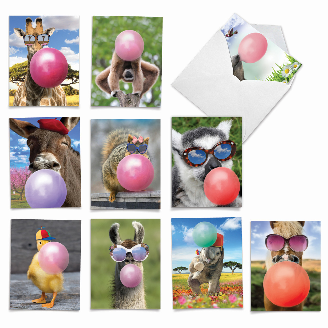 Party Balloon Animal Party Supplies Kit 