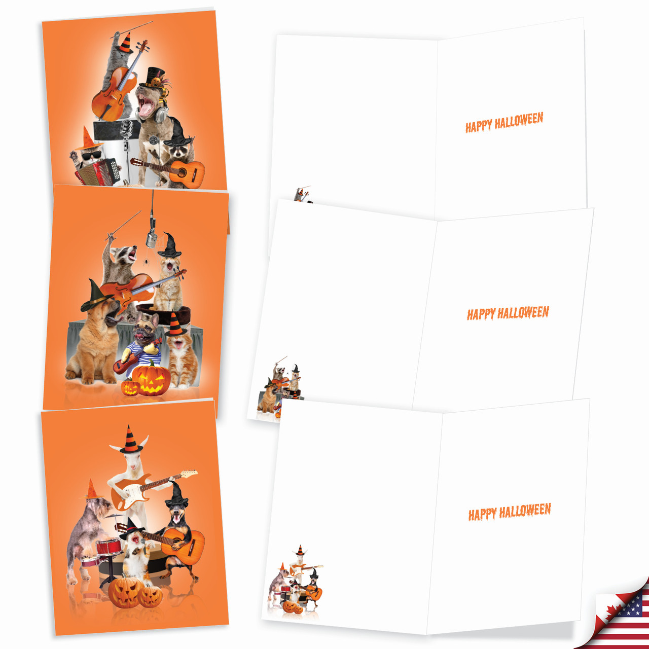 Spooky Animal Bands, Assorted Set Of Halloween Notecards - AM9541HWG ...