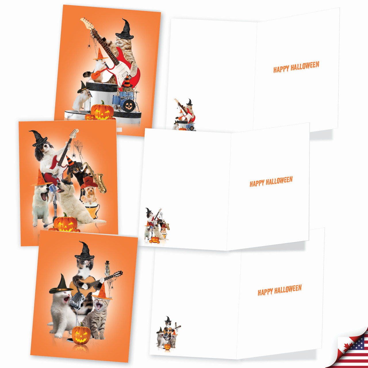 Spooky Animal Bands, Assorted Set Of Halloween Notecards - AM9541HWG ...