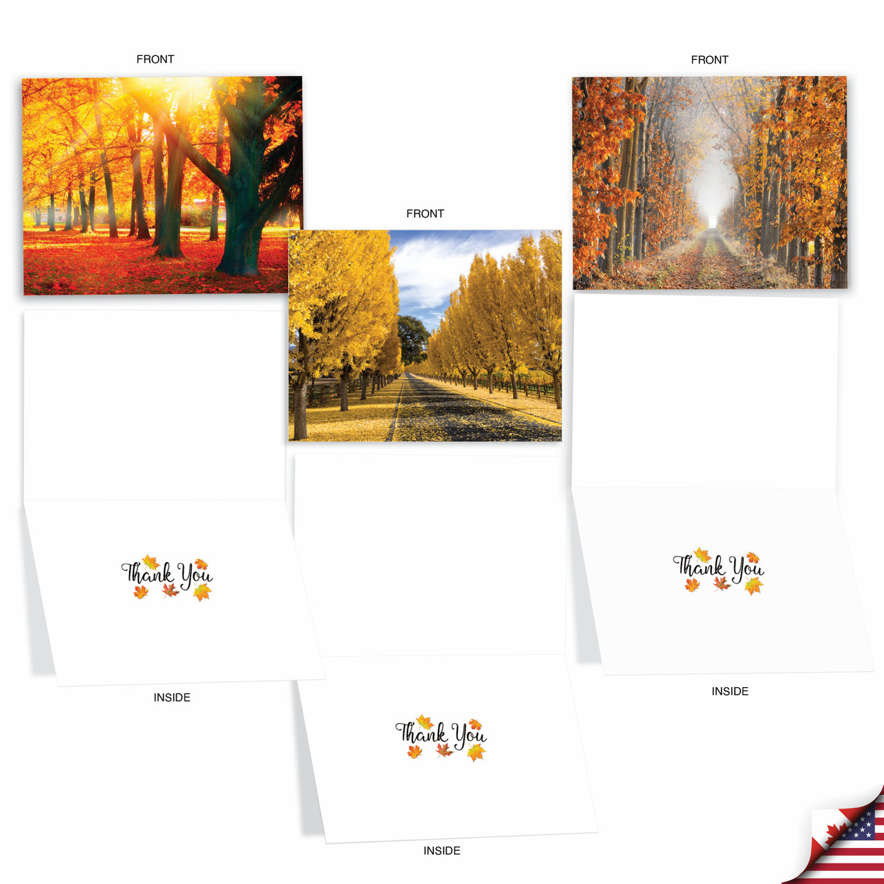 Fall Foliage, Assorted Set Of 20 Printed Thank You Notecards ...