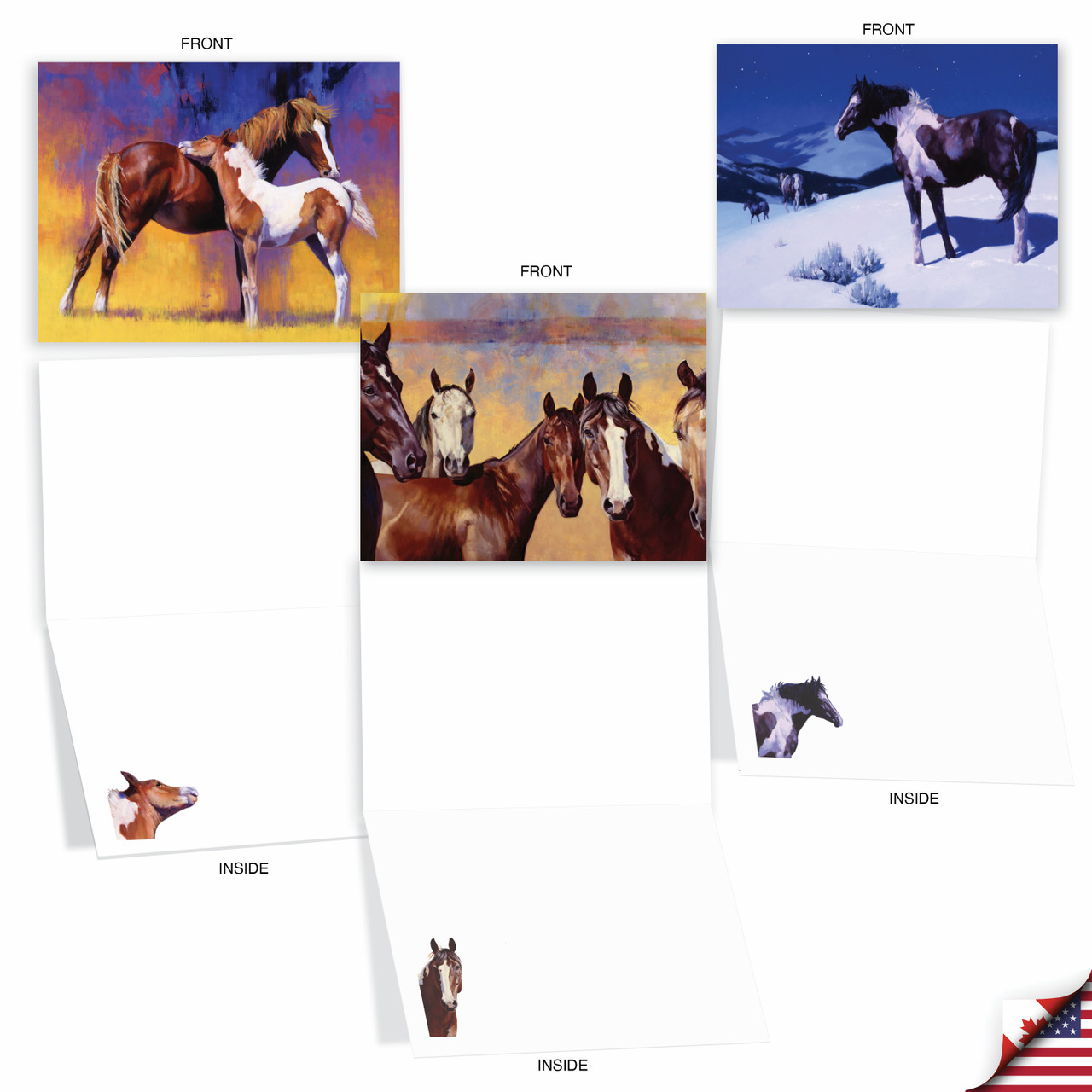 Wild Horses, Assorted Set Of Blank Notecards AM2824OCB