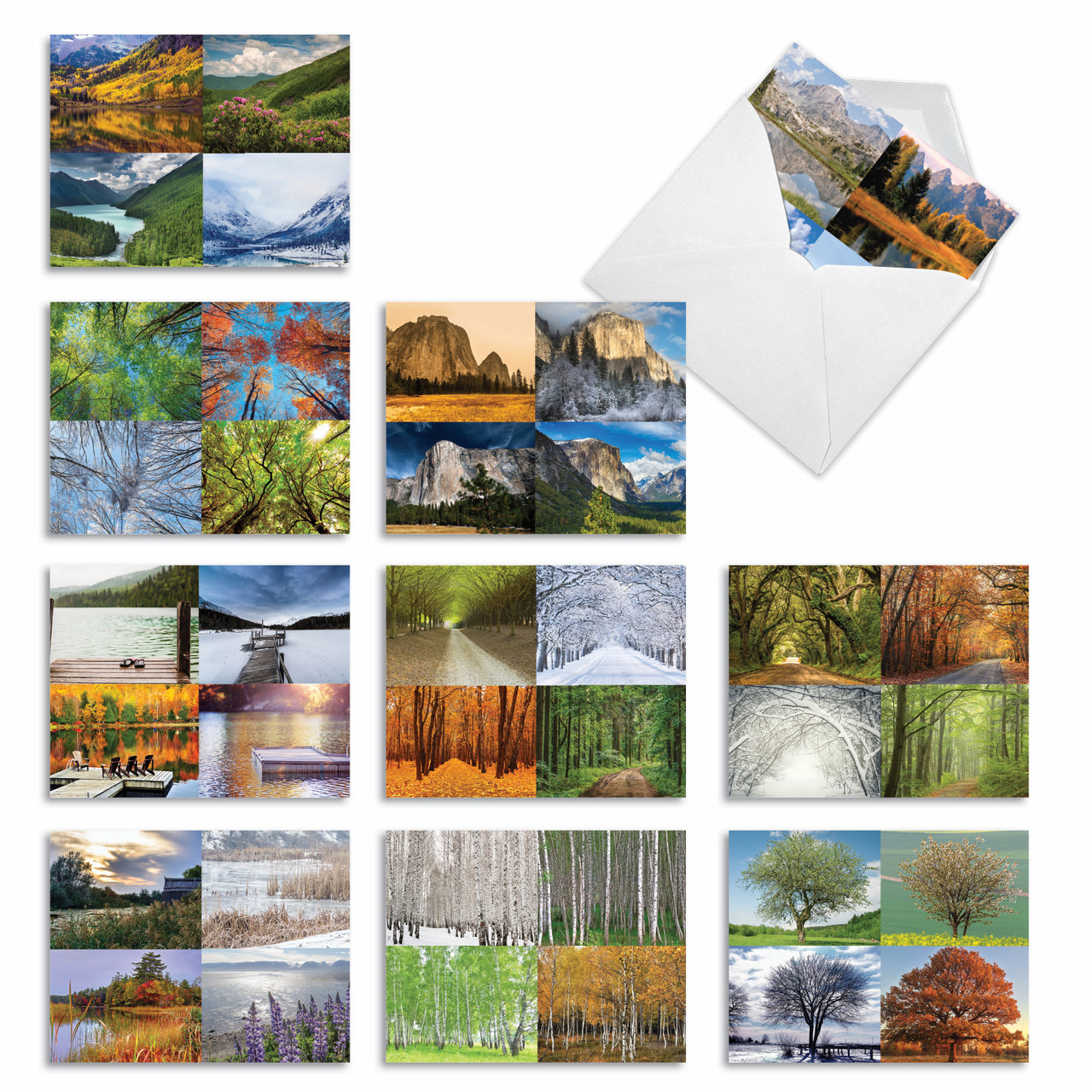 Nobleworks 10-Pack Blank Note Cards – Botanical Collage Design (M2988OCB)