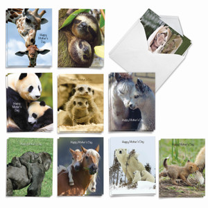 Mommy Dearest, Assorted Set Of Mother's Day Notecards - AM4961MDG