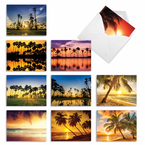 Palm Beaches, Assorted Set Of 10 Printed Blank Notecards - AM6457OCB